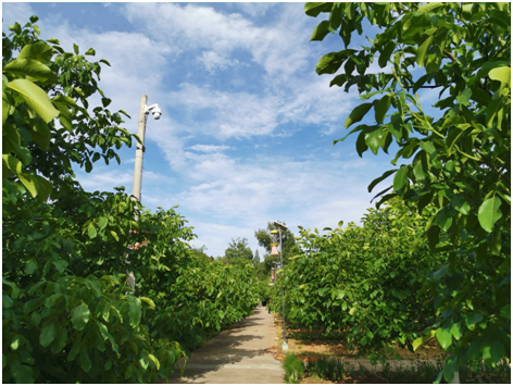 acc68048033747cca65c7a045df44793.png image.png